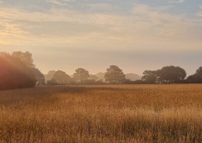 log cabins East Sussex